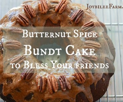 Butternut Spice Bundt Cake to Bless Your friends