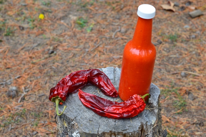 Dried hot peppers and homemade hot sauce