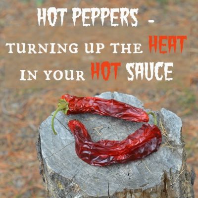Hot Peppers — turning up the heat in your hot sauce recipes