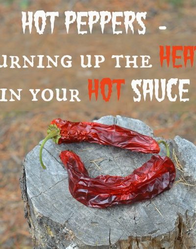 turning up the heat in your hot sauce recipes -- Joybilee Farm