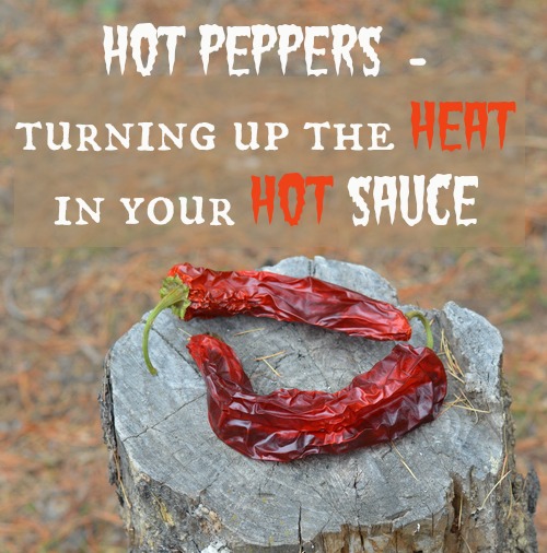 turning up the heat in your hot sauce recipes -- Joybilee Farm
