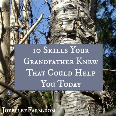 10 Skills Your Grandfather Knew That Could Help You Today