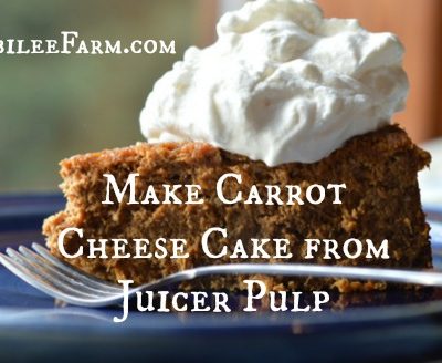 Make Carrot Cheese Cake from Juicer Pulp