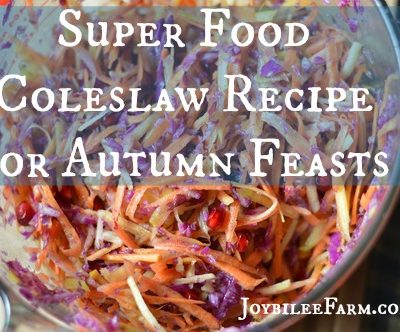 Super Food Coleslaw Recipe for Autumn Feasts