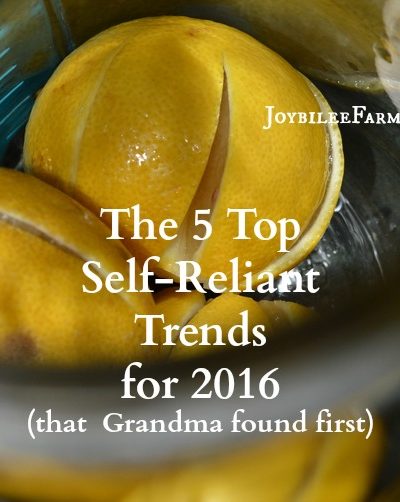 Pinterest recognizes these self-reliant trends in their Top 100 Trends for 2016. While it’s true your grandma already knew about some of these self-reliant trends, we’ve gotten far ahead of grandma now. With the wealth of shared knowledge and social media sparkle these trends evolved into a movement. And it's a self-reliant, back-to-basics movement we can get excited about.