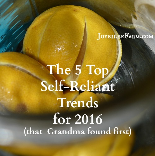 Pinterest recognizes these self-reliant trends in their Top 100 Trends for 2016. While it’s true your grandma already knew about some of these self-reliant trends, we’ve gotten far ahead of grandma now. With the wealth of shared knowledge and social media sparkle these trends evolved into a movement. And it's a self-reliant, back-to-basics movement we can get excited about.