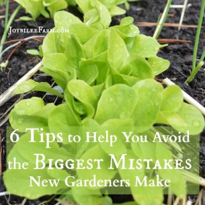 6 Tips to Help You Avoid the Biggest Mistakes Newbie Gardeners Make