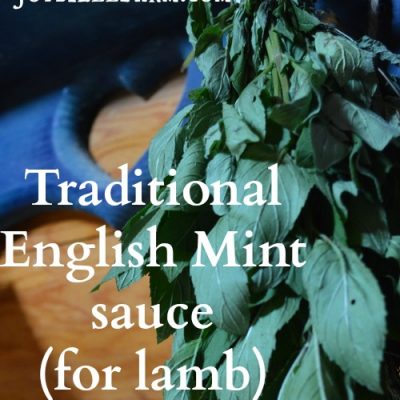 Traditional English Mint sauce for lamb
