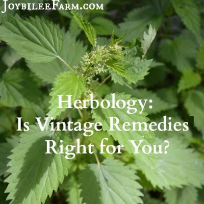Is Vintage Remedies Right for You? Review of Vintage Remedies Classes