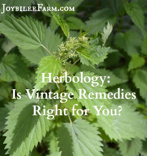 Online Herbology classes are taught from many different perspectives and worldviews. While all online herbalism classes touch on scientific research, botany, anatomy, physiology, and historical and cultural uses of herbs for healing, each one places a different weight on the importance of these perspectives in the overall picture of Herbology.