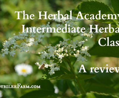 Herbology: The Herbal Academy – “Intermediate Herbal Class”