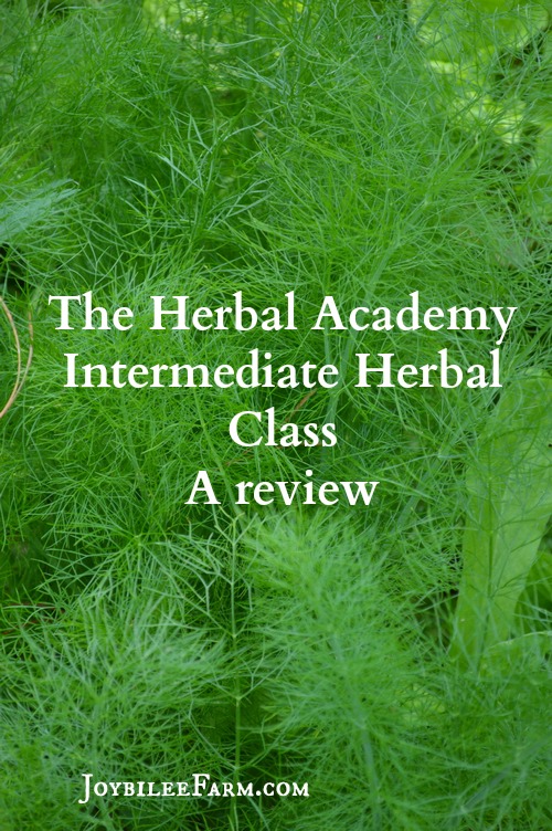 The Intermediate Herbal course is put together with the thought of where the student will go next in their studies, once this course is completed. This course lays the foundation for the next level of herbal education, whether the student desires to work toward a certificate along the entrepreneur herbalist path, the professional herbalist path, or the clinical herbalist path.