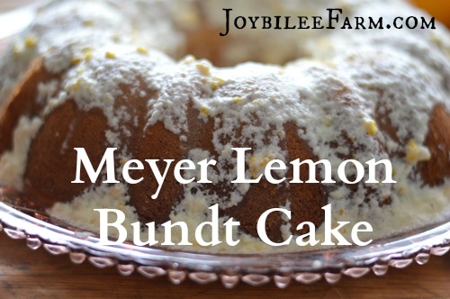 This meyer lemon bundt cake uses just two of these fragrant and juicy fruits. If you only have access to regular lemons, you'll need 3 to equal the amount of zest and juice in this recipe that two meyer lemons have. This is lovely for a light, refreshing tea cake. Plate it with a pretty vintage plate from the thrift store and share it with a neighbor. Tell them you don't need the plate back, and they can "pay it forward". Start a happy neighborhood trend and build your community up. Here's the recipe. I hope you enjoy it.