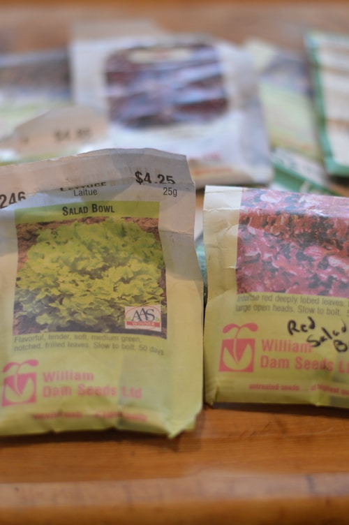 lettuce seed packages, planning the planting of a mesculin mix hugulculture bed