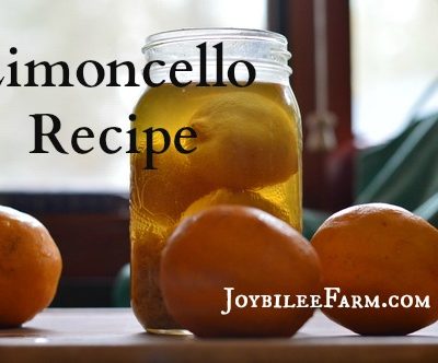 Limoncello recipe using Meyer Lemons