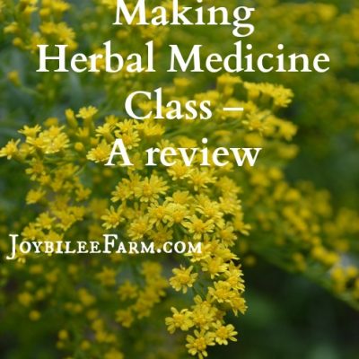 Making Herbal Medicine Class – A Review