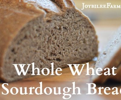 Whole Wheat Sourdough Bread Recipe