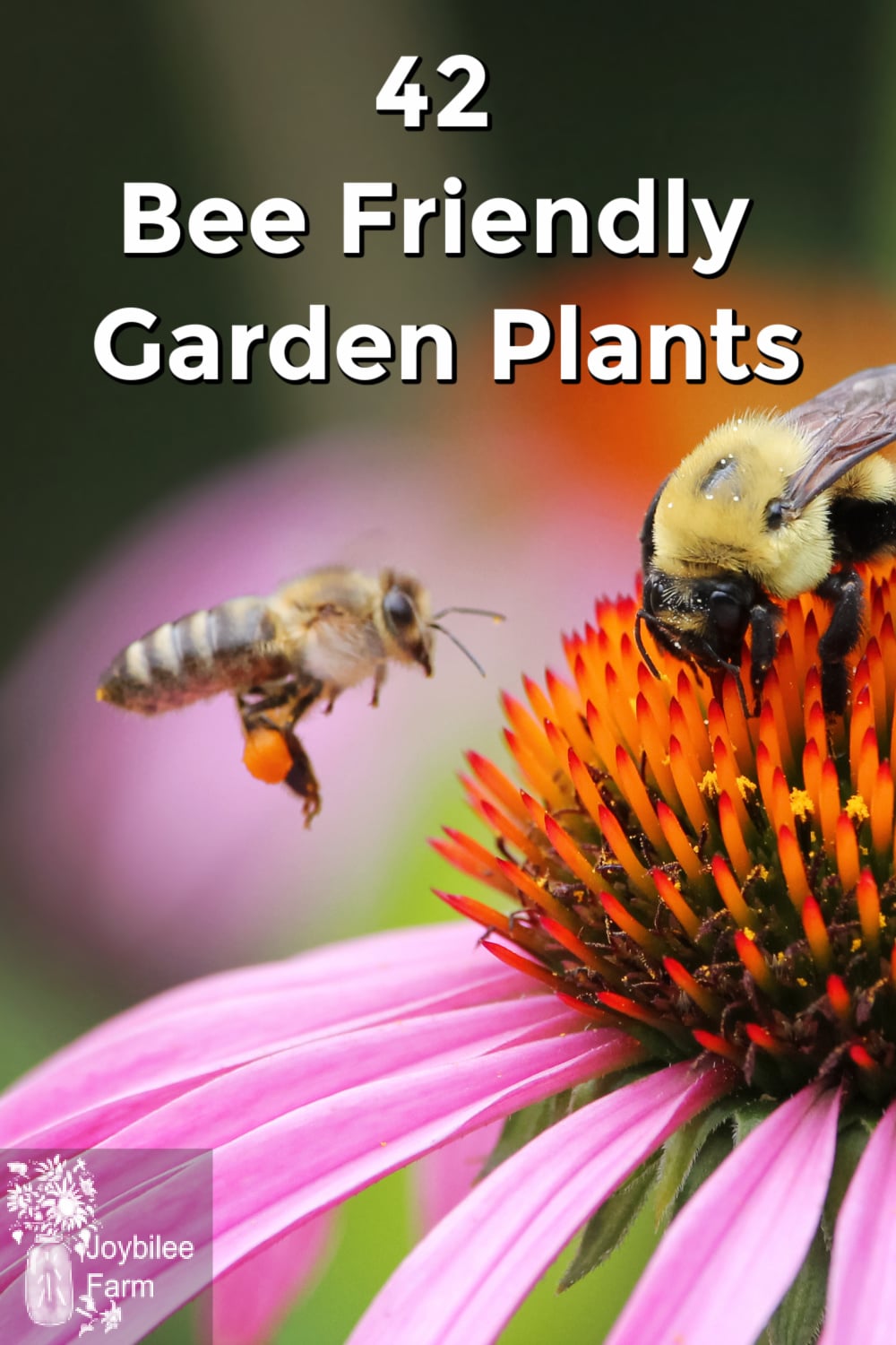 42 Bee Friendly Garden Plants to Create a Pollinator Habitat for Better ...