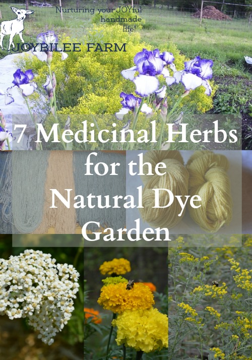 7 Medicinal Herbs for Natural Dye