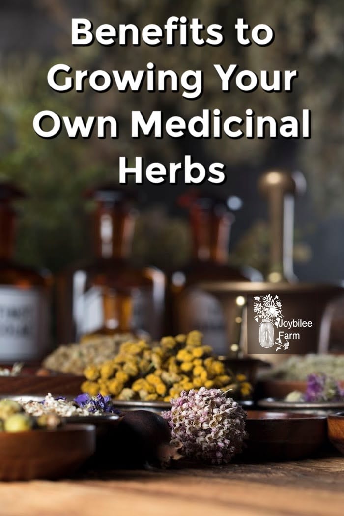 Benefits Of Growing Medicinal Herbs - Joybilee® Farm 