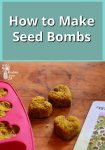 Seed bombs on a wooden background by a seed packet
