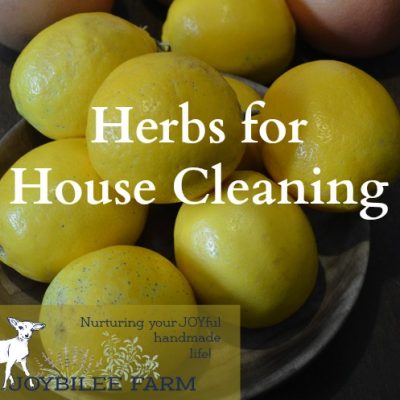 Herbs for House Cleaning