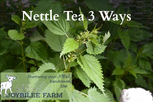 Nettle Tea Three Ways - Joybilee® Farm | DIY | Herbs | Gardening |