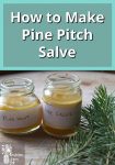 Pine Pitch Salve