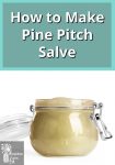 Glass jar full of pine pitch salve