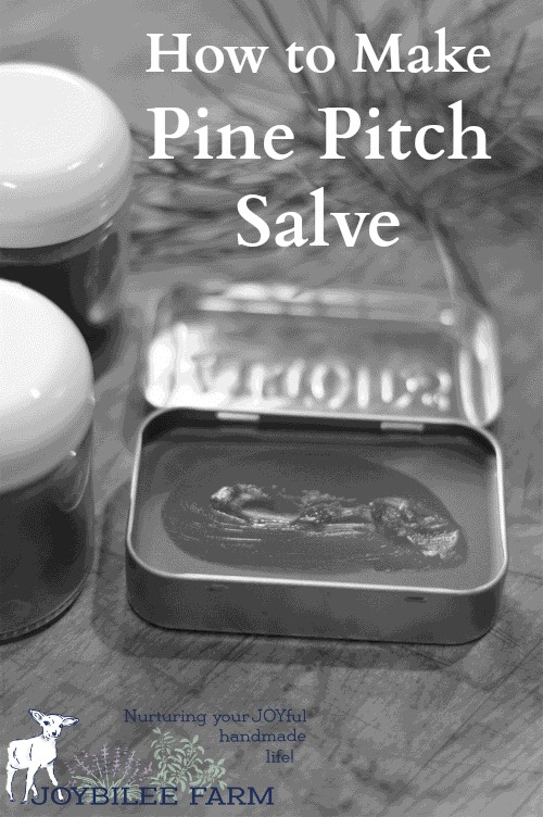 Pine salve is a traditional drawing salve, that draws infections, slivers, and inflammation out of the body. It reduces pain and swelling, helping the body heal itself. One way it works is by increasing peripheral circulation by counter irritation. While you could make pure pine salve with just pine oleoresin, beeswax, and oil, this recipe uses infused oils to work synergistically reducing pain and inflammation.