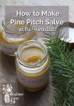 How to Make Pine Pitch Salve
