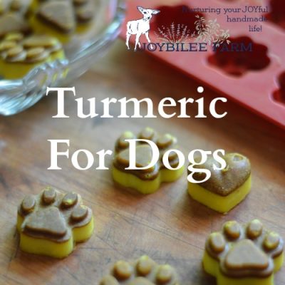 DIY Dog Turmeric Chews