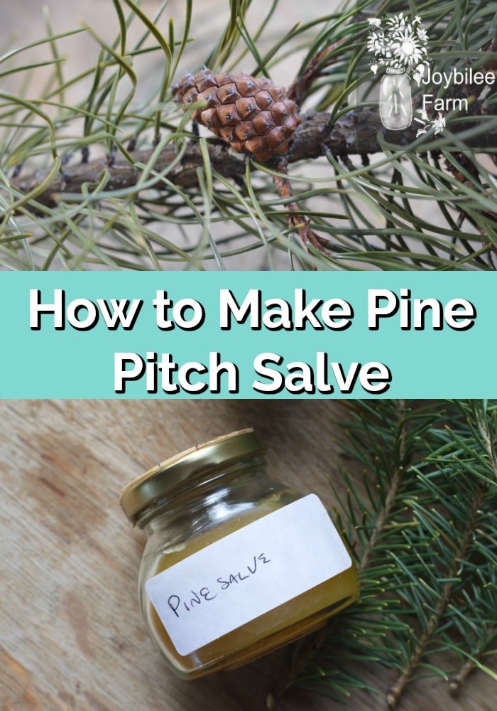 How to Make Pine Pitch Salve