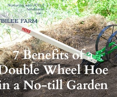 7 Benefits of a Double Wheel Hoe in a No-till Garden