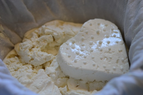 This is a soft goat cheese that is cubed in salads or spread on crackers. It's served in fancy restaurants as an appetizer. But if you make your own it will taste a thousand times better than any that you find in restaurants or grocery stores. Yield 1 lb of creamy cheese