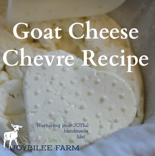 This is a soft goat cheese that is cubed in salads or spread on crackers. It's served in fancy restaurants as an appetizer. But if you make your own it will taste a thousand times better than any that you find in restaurants or grocery stores.