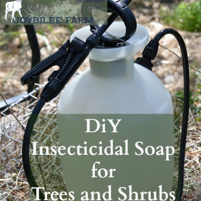 DIY Insecticidal Soap for Trees and Shrubs