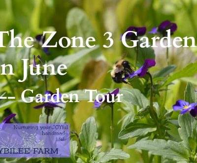 The Zone 3 Garden in June — Growing Herbs