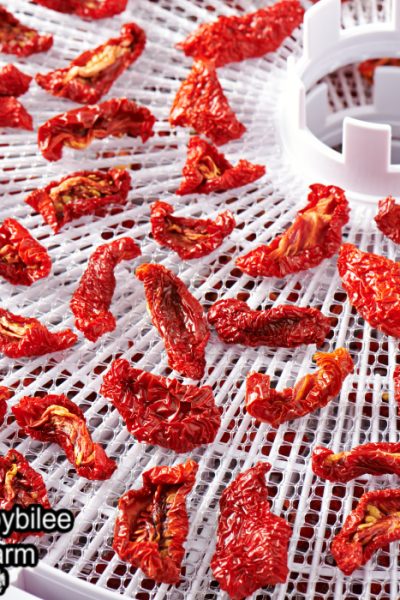 dried tomatoes on a dehydrator tray