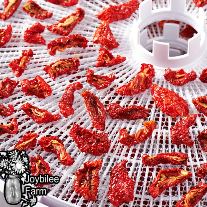 dried tomatoes on a dehydrator tray