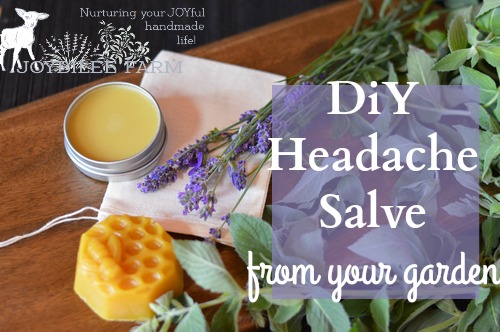 This soothing headache salve can be made from fresh lavender blossoms and peppermint leaves from your garden. If you don’t have any in your garden you can use dried leaves and dried blossoms to make this. The fragrance will be barely noticable in the finished salve but the herbs will contribute their herbal actions when in contact with the skin. The aromatic essential oils give the fragrance to this salve rather than the herbs.