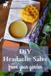 Headache salve in a tin, beeswax, lavender blossoms and peppermint on a table