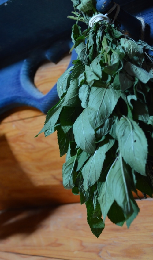 mint-hanging-to-dry