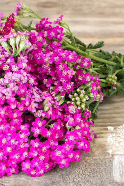 bundled pink yarrow flowers on a wooden table