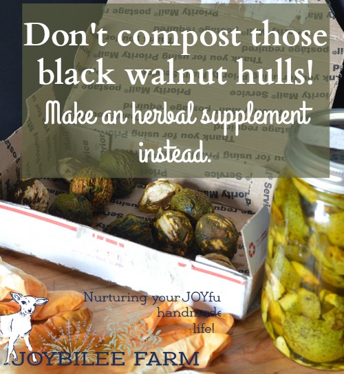 Make black walnut tincture with the green hulls from black walnuts for its antifungal properties or as an external iodine supplement.