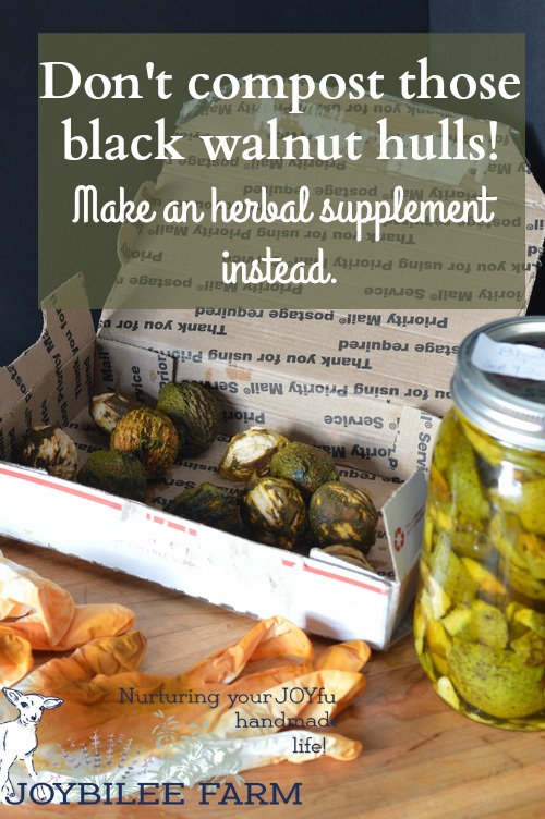 Don't compost those black walnut hulls! Make an herbal supplement instead.