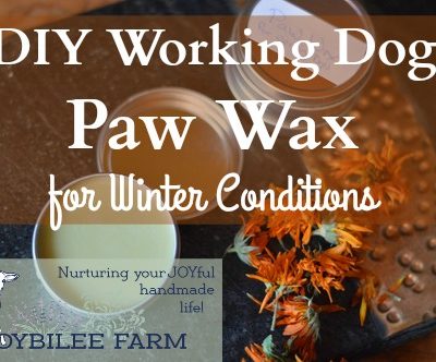 DIY Calendula Dog Paw Wax for Winter Conditions