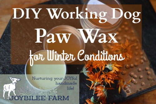 paw-wax-for-working-dogs-horizontal