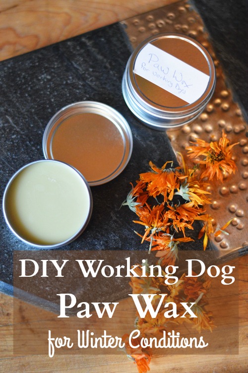 paw-wax-for-working-dogs-vertical