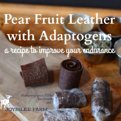 Pear Fruit Leather with Adaptogens
